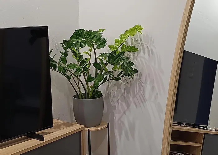 Apartamento Ds Elegant *